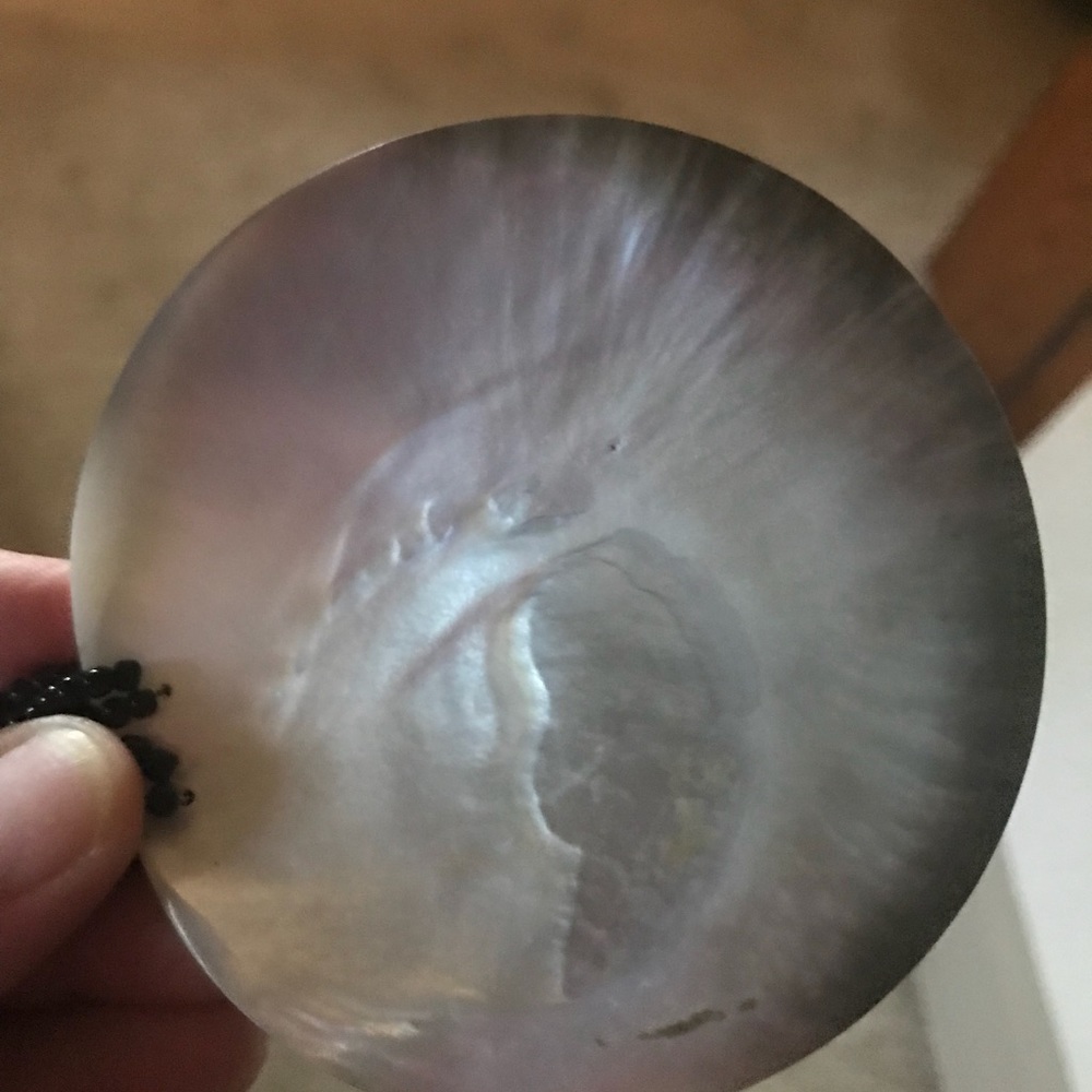 Shell necklace - Picture 5 of 6